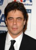 photo Benicio Del Toro