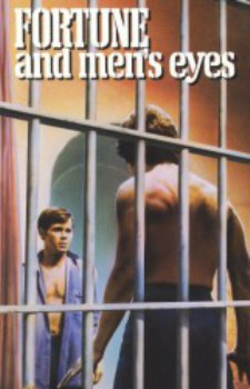 poster Fortune and Men's Eyes  (1971)