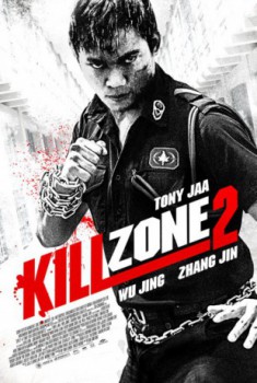 poster Kill Zone 2  (2015)